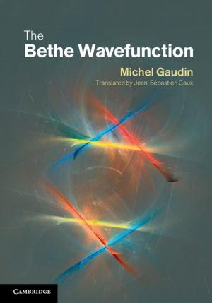 Cover of the book The Bethe Wavefunction by W. Mark Saltzman