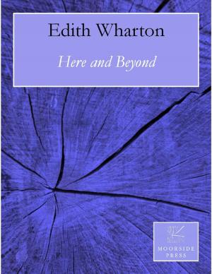 Cover of the book Here and Beyond by Patrick Hopton