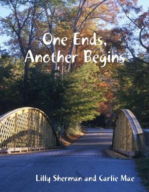 Cover of the book One Ends, Another Begins by L. S. Kyles