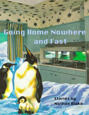 Cover of the book Going Home Nowhere and Fast by Anthony Ekanem