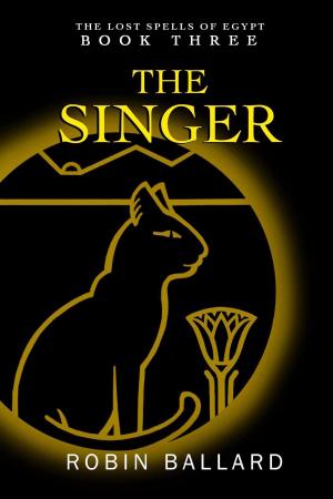 Book cover of The Singer