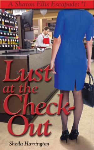 Cover of the book Lust at the Checkout by Howard McEwen