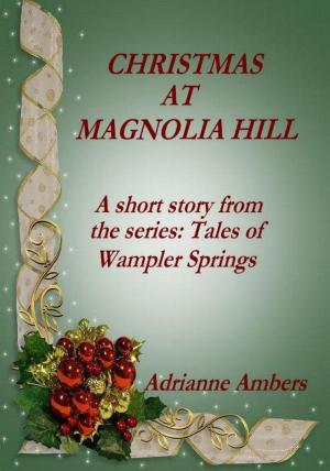 Book cover of Christmas at Magnolia Hill