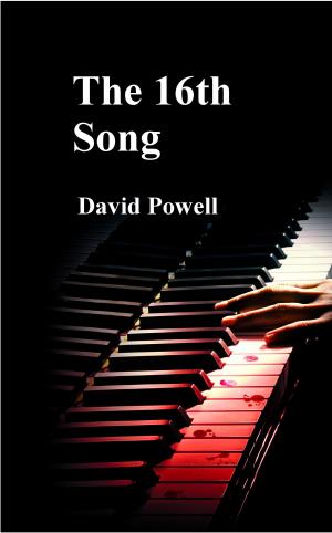bigCover of the book The 16th Song by 