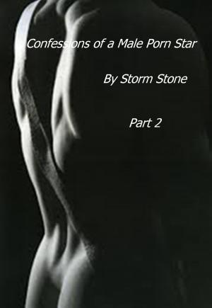 Cover of Confessions of a Male Porn Star Part 2