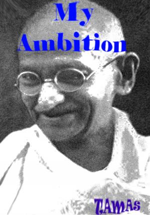 Cover of My Ambition