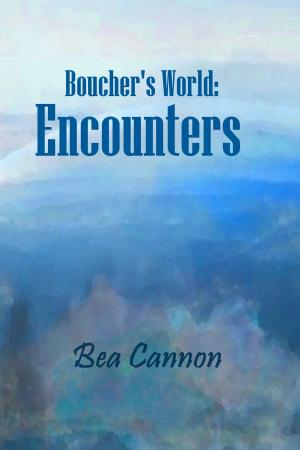 Cover of the book Boucher's World: Encounters by Ben Blake