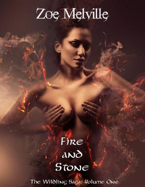 Cover of the book The Wildling Saga Volume One: Fire and Stone by VL Darling