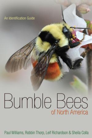 Cover of the book Bumble Bees of North America by Itamar Rabinovich