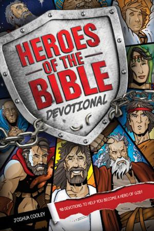 Cover of the book Heroes of the Bible Devotional by Rebecca Nichols Alonzo