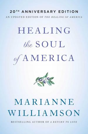 Cover of the book Healing the Soul of America by Rodrigo Hasbún