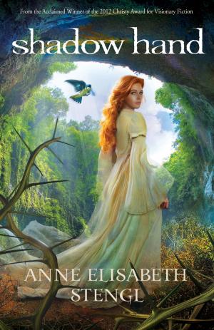 Cover of the book Shadow Hand (Tales of Goldstone Wood Book #6) by Quin Sherrer, Ruthanne Garlock