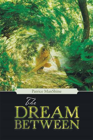 Cover of the book The Dream Between by Miranda Sheen