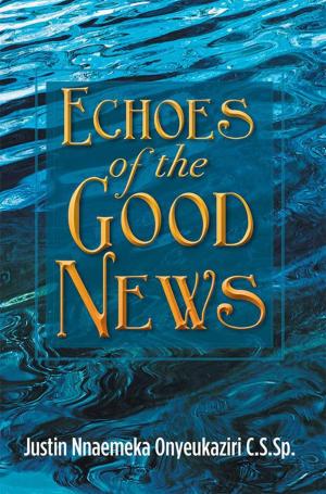Cover of the book Echoes of the Good News by Phillip Turner