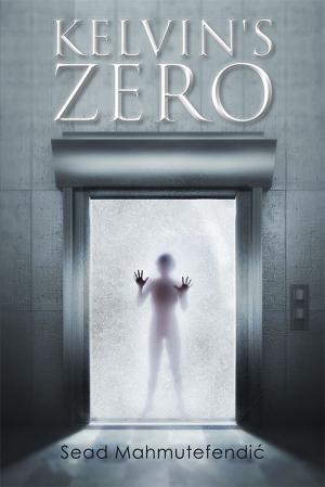 Cover of the book Kelvin's Zero by Alfred Tsipa