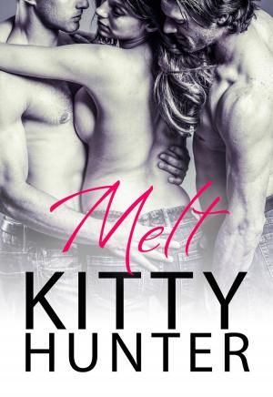 Cover of the book Melt by Amanda Bora