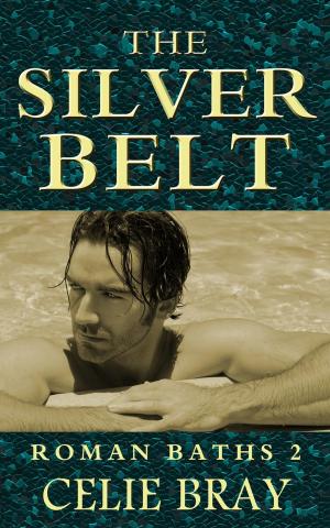 Cover of the book The Silver Belt by Regina Dorando