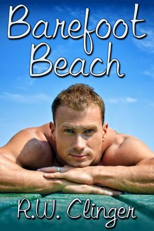 Cover of the book Barefoot Beach by Carla Doolin
