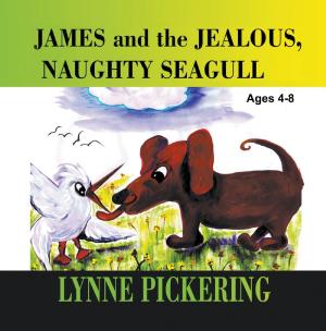 Cover of the book James and the Jealous, Naughty Seagull by Sheilah Mitchell, SRN, RM, RHV, DNE