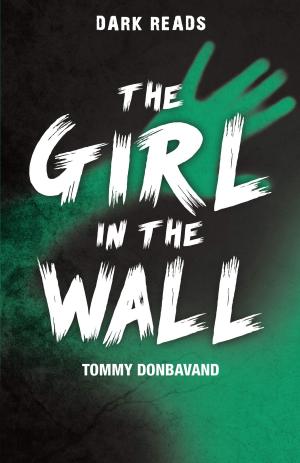 Cover of the book The Girl in the Wall by Ann Evans
