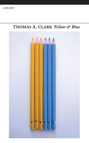 Book cover of Yellow & Blue