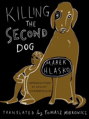 Cover of the book Killing the Second Dog by Yitzhak Gormezano Goren