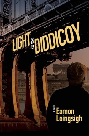 Cover of the book Light of the Diddicoy by Autumn Jordon