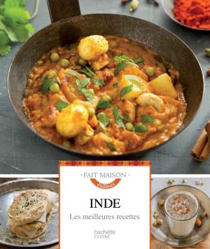 Cover of the book Inde by Leslie Gogois, Aude de Galard