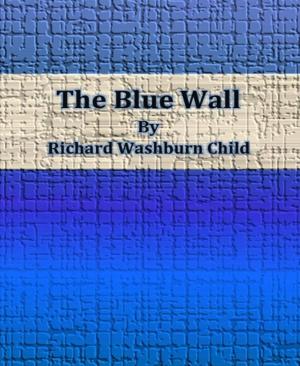 Cover of the book The Blue Wall by Talia Berg