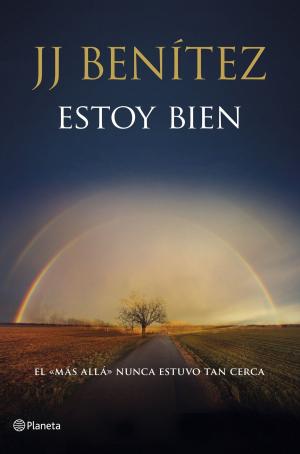 Cover of the book Estoy bien by Silvia García Ruiz