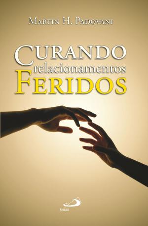 Cover of the book Curando relacionamentos feridos by Antônio Sagrado Bogaz, João Henrique Hansen, Márcio Alexandre Couto