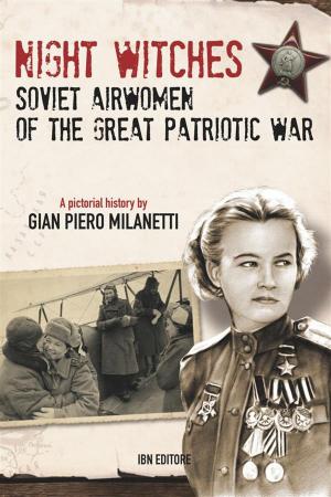 Cover of Night Witches. Soviet Airwomen of the Great Patriotic War