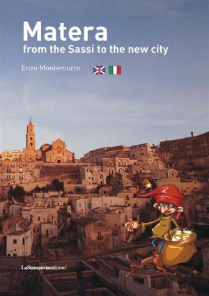 Book cover of Matera from the Sassi to the new city