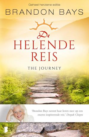 Cover of the book De helende reis by Jhumpa Lahiri