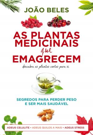 Cover of the book Plantas Medicinais que Emagrecem by DANIEL SÁ NOGUEIRA