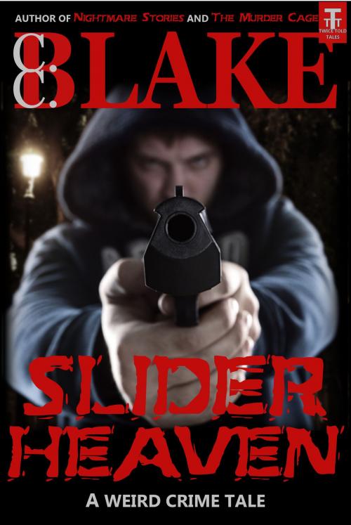 Cover of the book Slider Heaven by C. C. Blake, Twice Told Tales