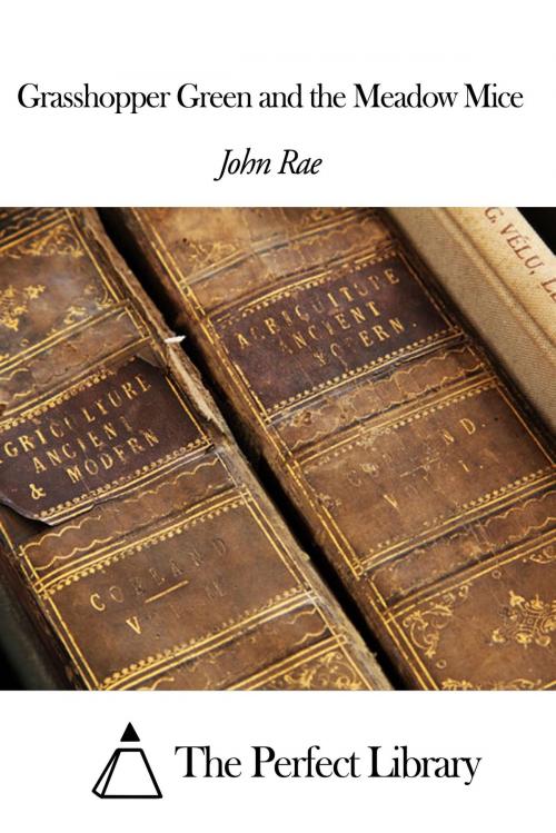 Cover of the book Grasshopper Green and the Meadow Mice by John Rae, The Perfect Library