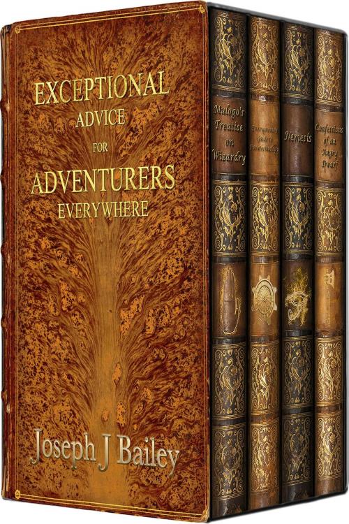 Cover of the book Exceptional Advice for Adventurers Everywhere by Joseph J. Bailey, Joseph Bailey