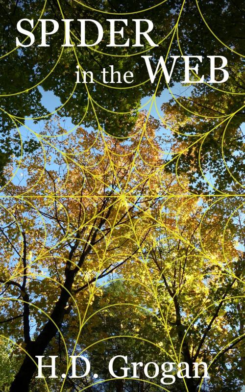 Cover of the book Spider in the Web by H.D. Grogan, H.D. Grogan