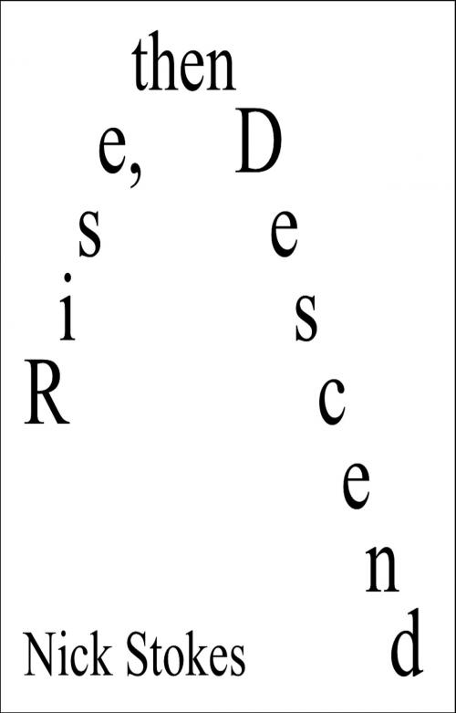 Cover of the book Rise, then Descend by Nick Stokes, Nick Stokes