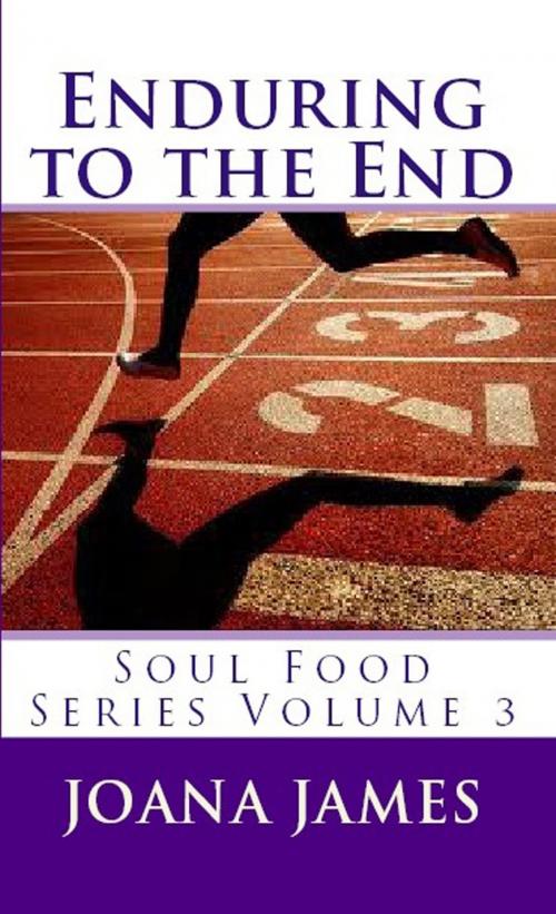 Cover of the book Enduring To The End by Joana James, Joana James