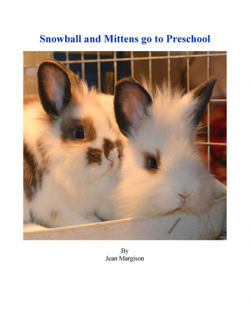 Cover of the book Snowball and Mittens go to Preschool by Jean Margison, Jean Margison