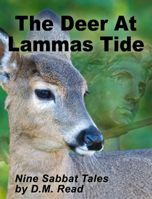 Cover of the book The Deer at Lammas Tide: Nine Sabbat Tales by Diana Read, Diana Read