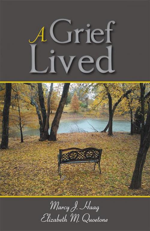 Cover of the book A Grief Lived by Marcy J. Haag, Balboa Press