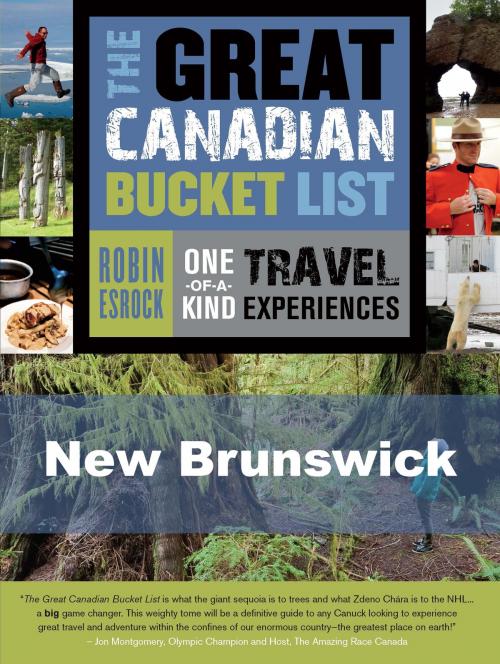 Cover of the book The Great Canadian Bucket List — New Brunswick by Robin Esrock, Dundurn