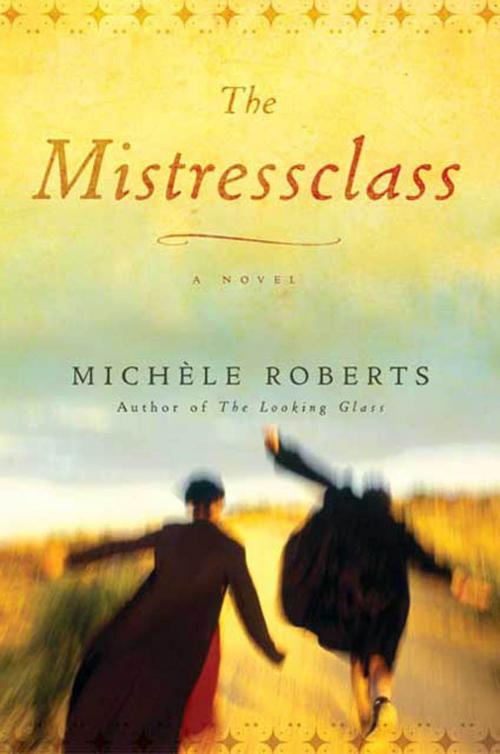 Cover of the book The Mistressclass by Michèle Roberts, Henry Holt and Co.