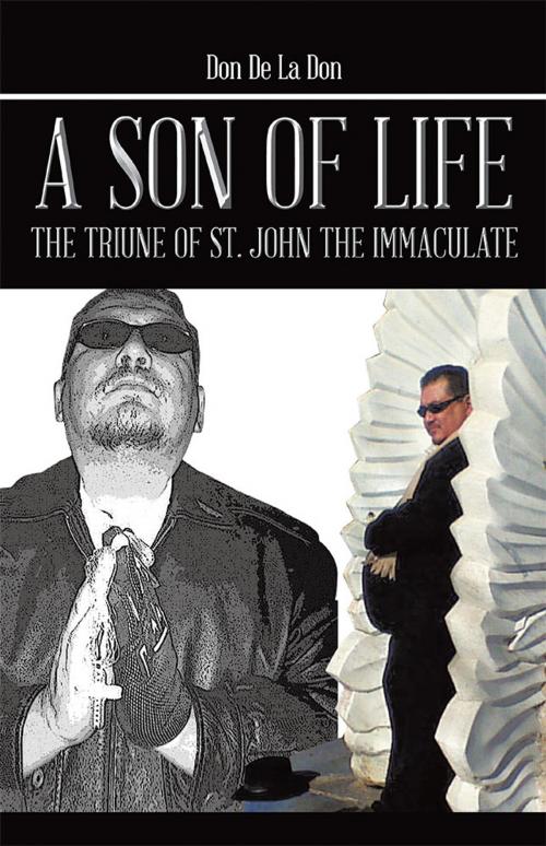 Cover of the book A Son of Life by Don De La Don, Trafford Publishing