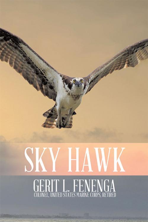 Cover of the book Sky Hawk by Gerit L. Fenega, Trafford Publishing