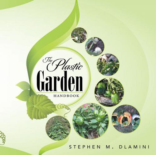 Cover of the book The Plastic Garden by Stephen M. Dlamini, Xlibris UK