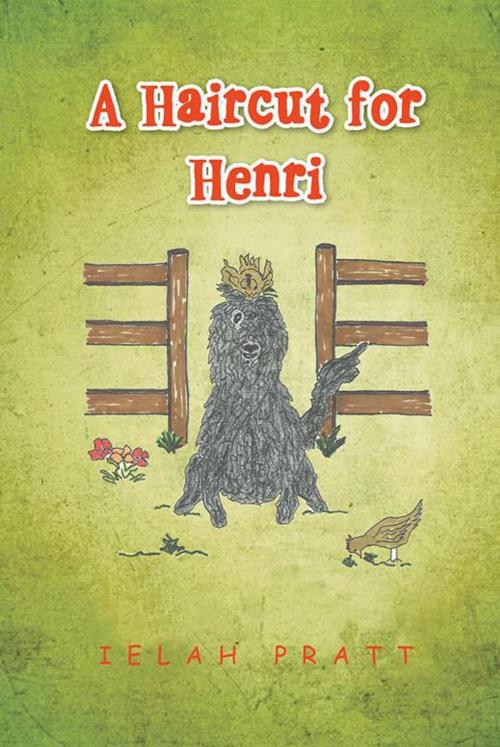 Cover of the book A Haircut for Henri by Ielah Pratt, Xlibris US